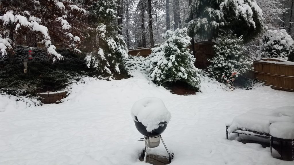 Snow in Beth's Backyard