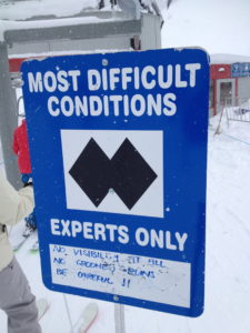Photo - Expert Skiiers Only (2) (1)