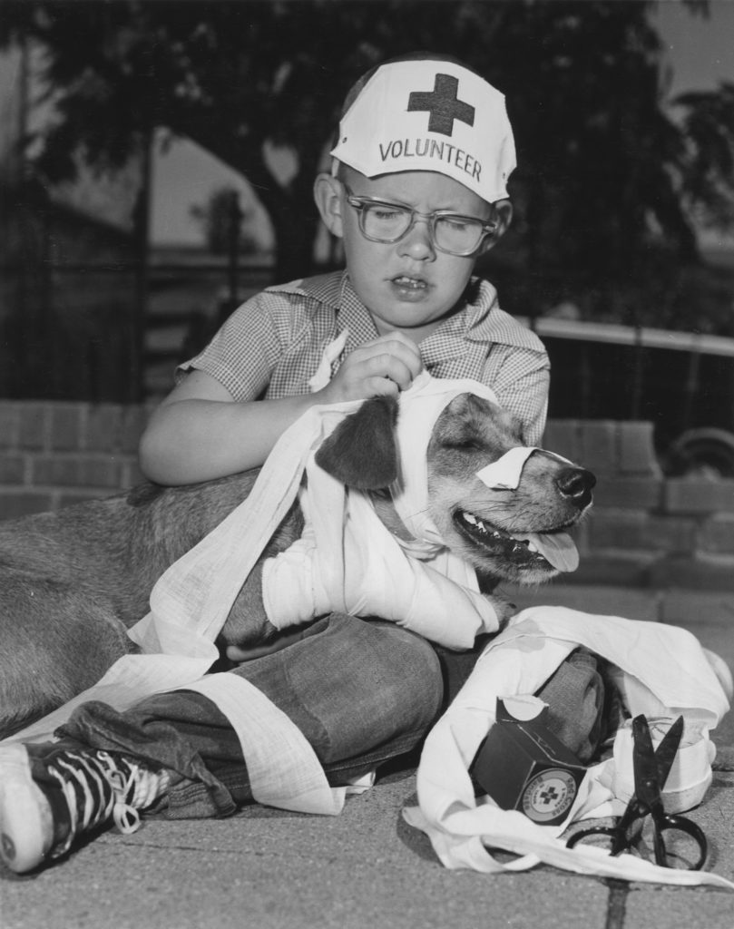 Dallas, TX, 1960. Patient pup Jerry indulges Charles Benedict, 6, in a bit of first aid practice. 