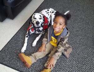 red cross therapy dog dalmatian ember hurricane matthew shelter resident kid