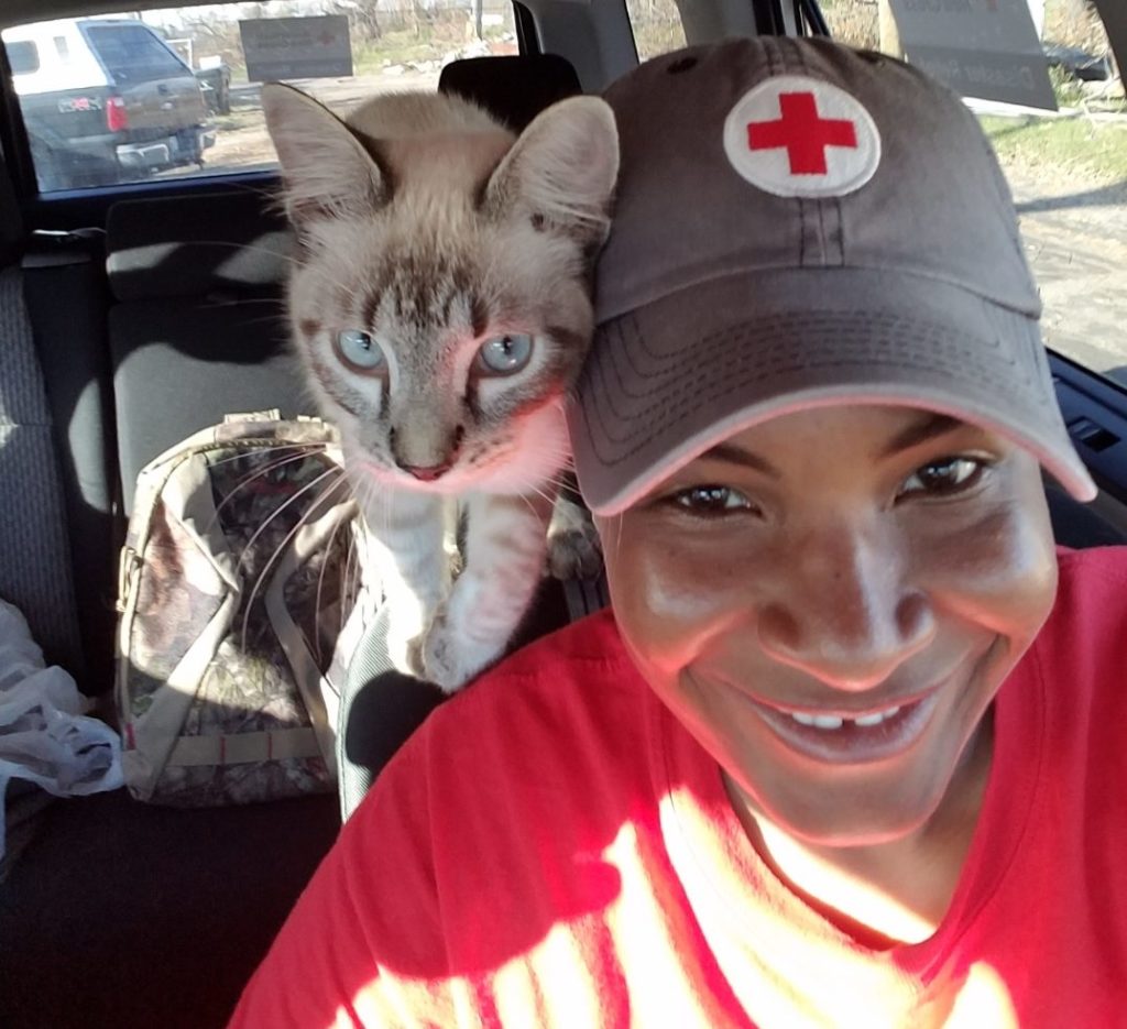 Red Cross volunteer takes a selfie with one of the two cats she rescued from a damaged home in Panama City.