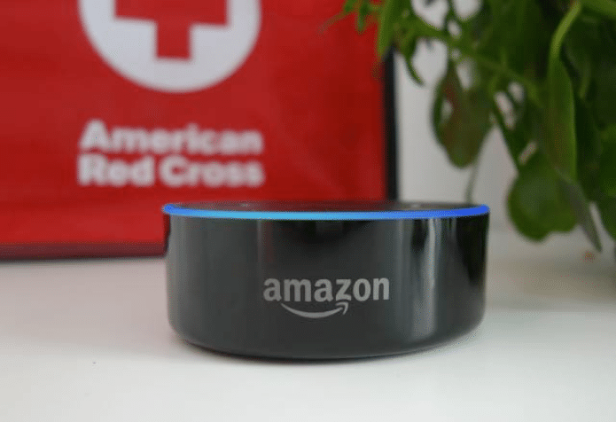 Picture of an Alexa-enabled device. 