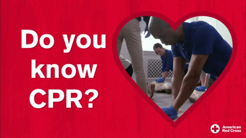 A gif that shows a person performing CPR on a mannequin for Valentine's Day. Gif reads: Do you know CPR? Because you take my breath away. 